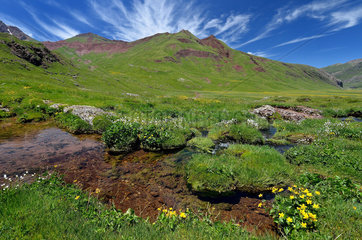 Plateau of Aguas Tuertas and its peat bogs. Pyrenees  Aragon  Spain