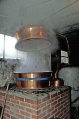 Distillation of kirsch brandy in Bernard Oudot France