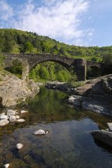 Old stone bridge Monts d'Ardèche Regional Nature Park