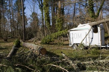 Van horse destroyed in the storm of 24/01/09