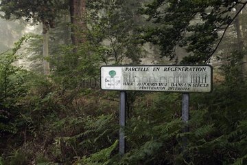 Panel zur Waldbewirtschaftung im Brotonne France Forest