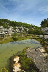 Teich in den Hügeln von Ardeche Frankreich
