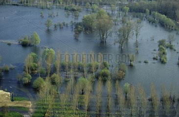 Flooding in the valley of the Somme Picardie France