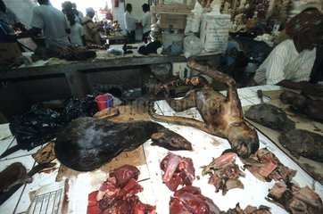 Fleisch von Bush zum Verkauf auf dem Markt von Liverville Gabon