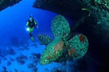 Diver and Wreck of Salem Express South Safaga Red Sea