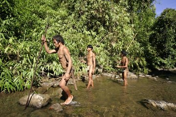 Jäger im Wald Tau't Batu Palawan Philippinen