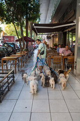 Dog Walker - Buenos Aires Argentina