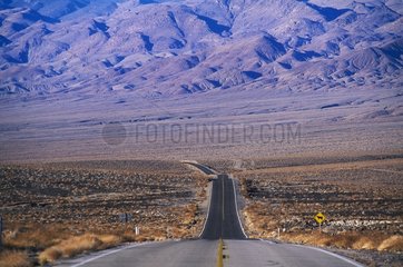 Désert du Mojave  paysage de route dans le désert