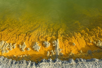 Wai-o-Tapu geotermical place  Taupo Volcanic Zone  North Island  New Zeland