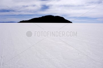 Ile Inkawasi auf dem Salar de Uyuni Bolivien