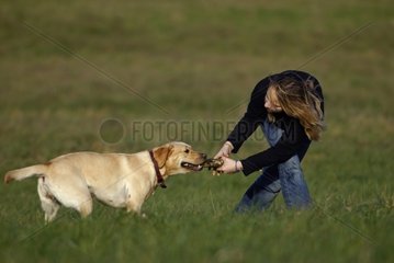 Young girl playing with its Labrador bitch France