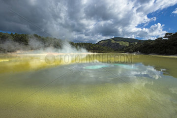 Wai-o-Tapu geotermical place  Taupo Volcanic Zone  North Island  New Zeland