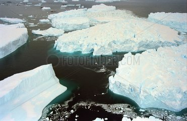 Eisberge in der Antarktis aus einem Gletscher im Meer gefallen
