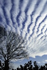 Cirrocumulus above Normandy in winter France
