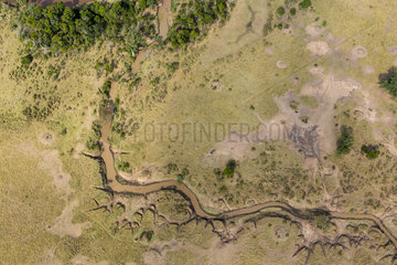 Channel of the Mara river - Masai Mara Kenya