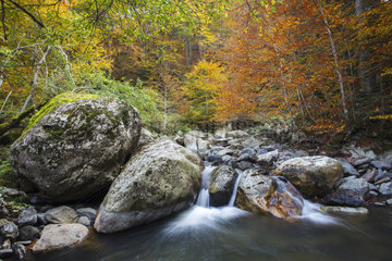 River in autumn - Ossau Valley Pyrenees France