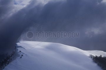 Blizzard in the Vallon de Combeau Vercors Plateau France