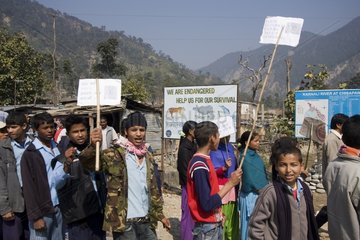 Rally for the year of Tiger in Bardia NP Nepal
