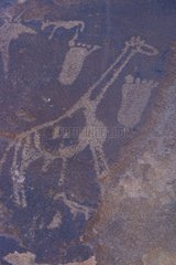 Rupestral carving of animals and human feet Twyfelfontein