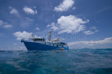 Diver swimming near a boat Bahamas