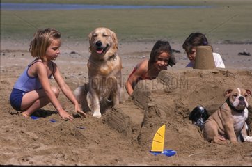 Enfants jouant sur la plage avec leurs chiens