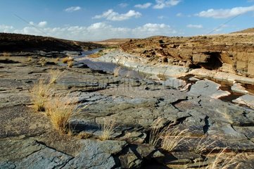 Wadi RasTarf between Guelmin and Tan Tan Western Sahara