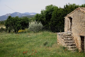 Landscape of Vaucluse with a stone house