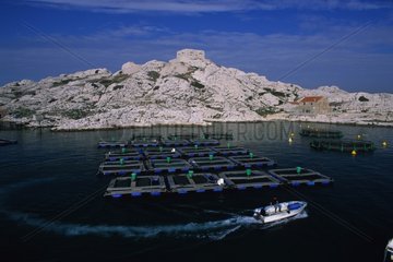 Floating cages of a fish breeding farm France