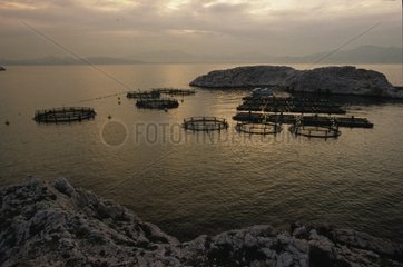 Floating cages of a piscicultural farm Marseille
