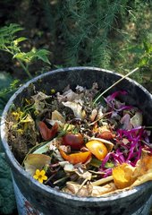 Compost in garden