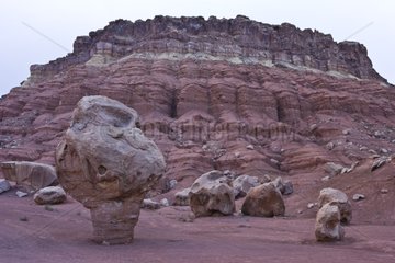 Vermilion Cliffs National Monument Arizona USA