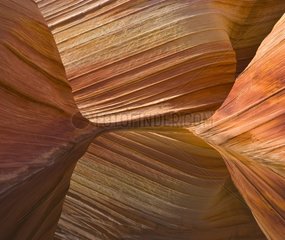 The Wave Staircase Escalante National Monument Utah
