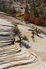 Cliffs in Zion NP Utah USA