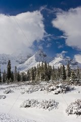 Jasper Nigel Pass Banff NP Rocky Mountains Alberta Canada