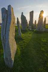 Standing Stones  Callanish  Isle of Lewis  Hebrides  Scotland