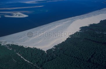 Aerial view of the Great Dune of Pyla and forest