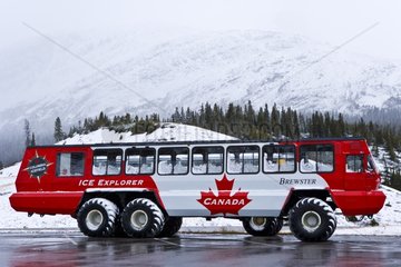 Bus Jasper NP The Rockies Alberta Canada