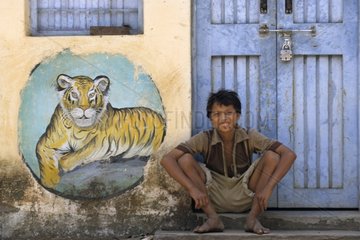 Benal tiger vilage Madhya Pradesh Bandhavgarh NP India