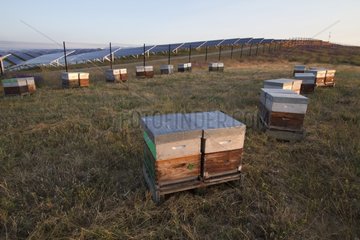 Hives and Solar photovoltaic park of Mees France
