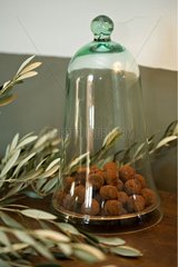 Chocolate truffles in glass bell
