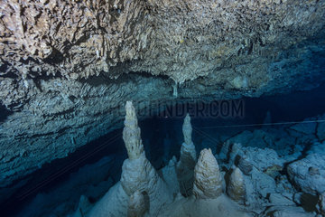 Hall of Stalagmites  Underwater Cave  Mayotte  Indian Ocean