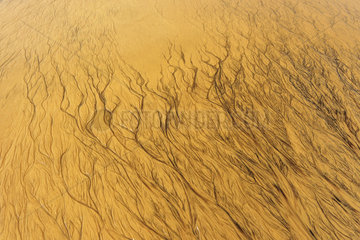 Dark lines caused by mica flakes in sand  Kirindy Mitea National Park  Madagascar