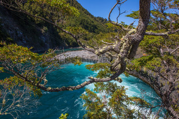 River Petrohue - Chile