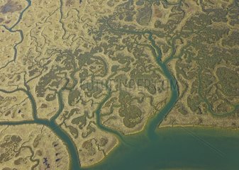 Aerial view of the marshes of Odiel in Huelva Spain