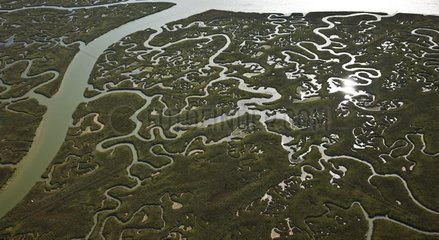 Aerial view of the marshes of Odiel in Huelva Spain