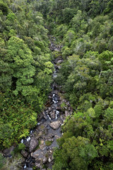 Tropical rainforest of eastern Madagascar seen from above  Andasibe  Perinet  Alaotra-Mangoro Region  Madagascar
