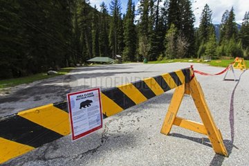 Panel warning presence Bear - Kootenay Canada