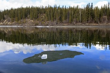 Ice stranded on gravel - Teslin River Yukon Canada