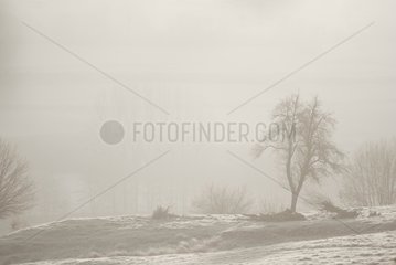 Normandy campaign in the snow and fog France