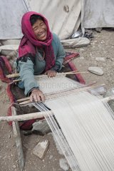 Samad woman weaving wool on a loom  Dipling  Highlands  Ladakh  Himalaya  India